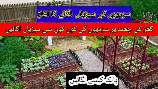 Start Time of Winter vegetable season 5 Vegetables To Grow in Winter season [upl. by Dietsche]