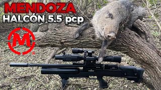 Caza de conejos con rifle 22lr y 22 magnum  Febrero 2020 [upl. by Diley]