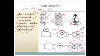 Protoplast Culture by Prof Sonali Saste [upl. by Nahsar577]