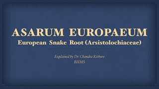 Asarum Europaeum  Allen’s Keynotes  Well Explained [upl. by Neumann]