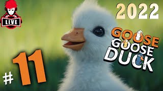 ไม่อยากเป็นเป็ด  LIVE  Goose Goose Duck 11 [upl. by Lazaruk]