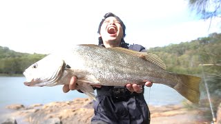 Georges River Jewfish On A New Lure [upl. by Neelav]