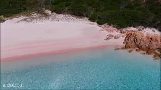 spiaggia rosa pink beach  budelli arcipelago di la maddalena sardinia Italy [upl. by Holleran]