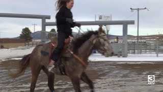 Visitors enjoy Montana Winter Fair in Lewistown [upl. by Eiramanna978]