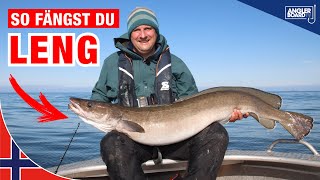 Leng angeln in Norwegen  Montage Köder und Ausrüstung zum Meeresangeln auf große Fische [upl. by Narhem155]