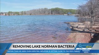 Tuesday meeting will address Lake Norman toxic algae [upl. by Yatnahc]