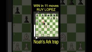 Opening Trap Noahs Ark in Ruy Lopez shorts chess trap [upl. by Hum631]