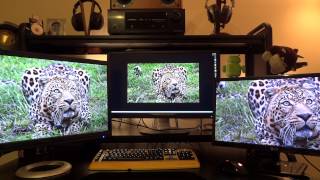 Review of the Philips 288P6LJEB 4K 60Hz Monitor  4K vs 1440p vs 1080p  By TotallydubbedHD [upl. by Varion]