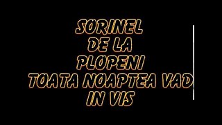 SORINEL DE LA PLOPENI TOATA NOAPTE VAD IN VIS [upl. by Cordi]