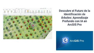 Descubre el Futuro de la Identificación de Árboles Aprendizaje Profundo con IA en ArcGIS Pro [upl. by Netnerb]