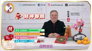 2024 Pig Zodiac Forecast 生肖属猪运程 by Grand Master Hillary Phang [upl. by Nosnev]