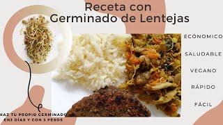 RECETA CON GERMINADO DE LENTEJAS 🌱 RECETA VEGANA 💚 COME VEGANO Y ECONÓMICO TEPANYANKI🍛 [upl. by Yance]