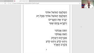 Hamalach Hagoel for siddur celebration [upl. by Gnouhp493]