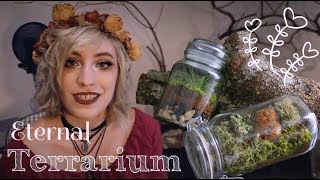 Tutorial cómo hacer un Eternal Terrarium [upl. by Norb]