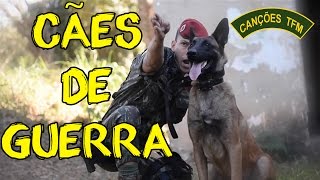 MALDITOS CÃES DE GUERRA  CANÇÕES DE TFM [upl. by Heiskell]