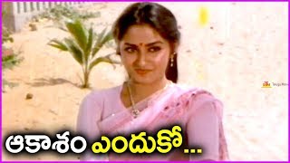 Sobhan Babu Super Hit Song In Telugu  Swayamvaram Movie Video Song  Akasam Enduko [upl. by Ainafets]