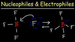 Nucleophiles and Electrophiles [upl. by Naerol]