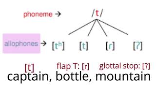 American phonemes and the concept of allophones [upl. by Muscolo]