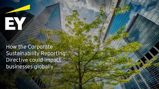 How the Corporate Sustainability Reporting Directive could impact businesses globally [upl. by Uund]