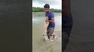 Amazing fishing in river shortvideo [upl. by Loveridge838]