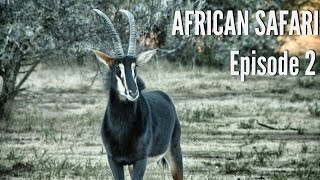 Kudu Blesbok and Record Book Grey Duiker Hunting  quotThe Bondquot [upl. by Cod213]