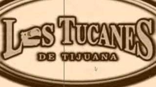 TUS VERDADES TUCANES DE TIJUANA [upl. by Ulphia46]