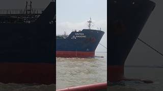 HAFNIA ALMANDINEshiplovers shipinstrom bigship shorts shortvideoshortsviral ship shipchannel [upl. by Htiek]