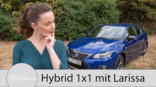 Das Hybrid 1x1 Was sind eigentlich Hybride Larissa erklärt die verschiedenen Systeme  Autophorie [upl. by Anaimad]