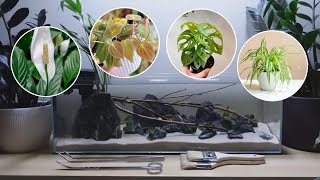 I tried growing COMMON HOUSEPLANTS in a FISH TANK [upl. by Lothair]