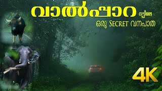 Secret Forest Road in Athirapally to Valparai route 4K [upl. by Sheffield]