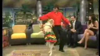 Dog dancing mambo [upl. by Eicats]