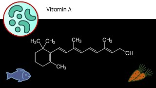 Vitamin A  What does it do Where does it come from [upl. by Camile]