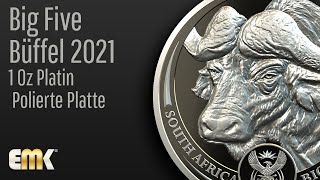 1 Oz Platin Big Five 5  Büffel [upl. by Cita]