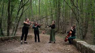 Dvořák  Cypresses B152  XIAllegro scherzando  Quatuor Akilone [upl. by Idnod120]