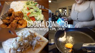 VLOG COCINANDO CAMARONES CON COCO 🥥 ⎸NYCEL ESCARREGA [upl. by Kramnhoj]