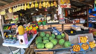 Amazing Immokalee State Farmers Market with various vendors selling fresh produce [upl. by Rebmaed]