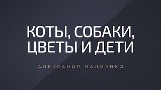 Коты собаки цветы и дети Александр Палиенко [upl. by Peednama]