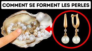 Comment Et Pourquoi Les Huîtres FontElles Des Perles [upl. by Eldorado]