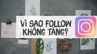 Vì sao Instagram Không Tăng Follow Giải pháp [upl. by Nallij]