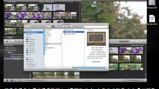 iMovie 11 Adding Still Images [upl. by Win]