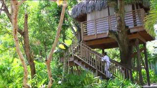 Couples Resorts Negril Jamaica Official Video [upl. by Lertnom]