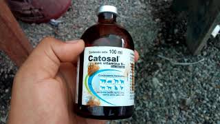 El uso de la vitamina CATOSAL con vitamina B12 [upl. by Eiroj75]