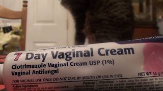 Clotrimazole 7Day Vaginal Antifungal Cream REVIEW [upl. by Cornwell]