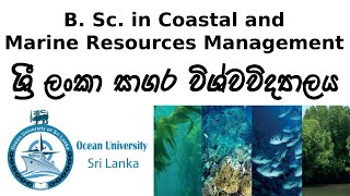 B Sc In Coastal and Marine Resources Management in Ocean University Sri Lanka  Dev School LK [upl. by Lahcim996]