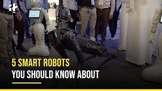 Gitex Dubai 2022 5 Smart Robots You Should Know About [upl. by Aicener]