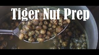 How to properly prepare tiger nuts for carp fishing tutorial [upl. by Narret309]