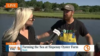 Sixpenny Oyster Farm [upl. by Tnek]