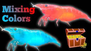 Mixing Shrimp Colors  Blue Jelly Shrimp Treasure Hunt [upl. by Amles895]