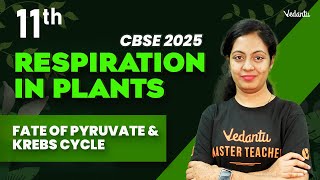 Respiration in Plants Fate of Pyruvate and Krebs Cycle  Class 11  CBSE 2025  Nivetha Maam [upl. by Leahcimnhoj984]