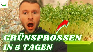 Grünsprossen schnell amp einfach anbauen Das quotMicrogreen Anzucht Set von Sperliquot im TEST 🧑‍🌾 [upl. by Aimac]